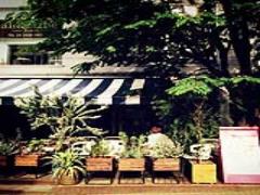 お洒落を超えた魅惑の代官山にあるレストランをご紹介します！