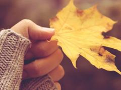 おうちでも秋を感じましょ♡フェイクの紅葉を使ったDIYアイデア4選