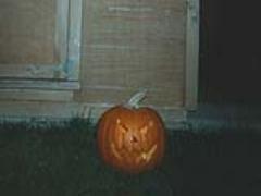 頭の先から爪先までおしゃれに生きるの、べっ甲ネイルで存分に楽しむ秋。