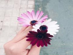 ▷こっくりカラーとチェック柄の最強タッグ。今季絶対GETしたいアイテムが勢ぞろい♡