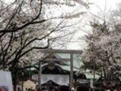 人気お花見スポット・靖国神社周辺で桜を堪能しよう！
