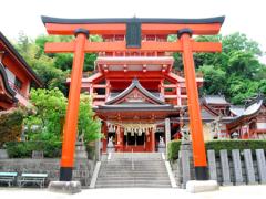 広島の初詣はここで決まり！景色が美しいおすすめ神社8選
