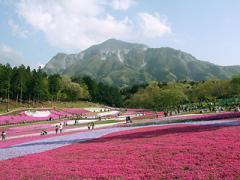 冬の秩父は“トレーラーハウス”で楽しむ。友達や彼と特別な時間を過ごす旅に♡