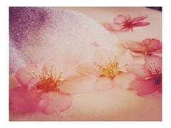 花柄には出来ないリアルを。押し花ネイルで指先に花を咲かせましょう