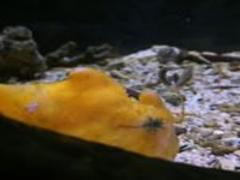 無印良品の家具ならきっとアナタの「欲しい」が見つかる！