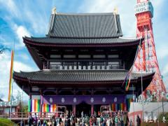 【東京タワーも】初詣デートなら増上寺でキマリ！夜景も楽しみましょ。