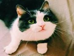 アート×カフェの街。今、注目を浴びている「清澄白河」おしゃれカフェ3選