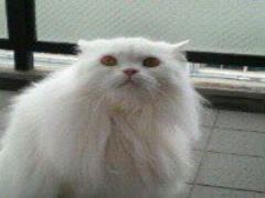  今日から収納美人♡ダイソーの片付けに役立つおすすめグッズ5選