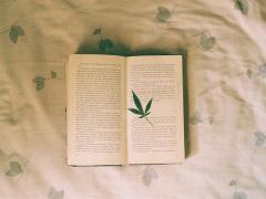 同じ運命を背負う人の言葉を知る。巷で話題の「バースデー文庫」って？