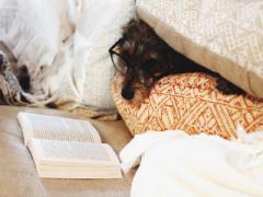 寒くて布団から出られないあなたに送ります。”冬”を感じて涙する最高の3冊