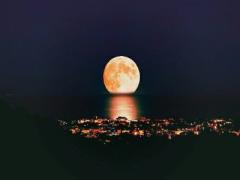 座る時間はないけれど温まりたい。夜遅くてもテイクアウト出来るカフェ3選