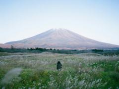 《全国》そこは、異世界への入口でした。幻想的な日本に出会える3つのスポット