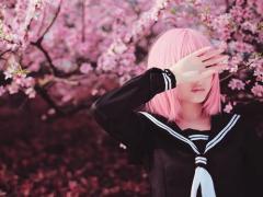 京都の桜、見頃時期はいつ？しっかりチェックしてお花見へgo♡