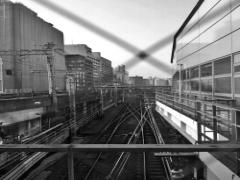 泊まらなくても一日中楽しめる、品川プリンスホテルの魅力