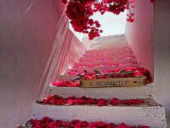 可愛すぎる春ネイル特集！みんなの視線を独り占めしちゃう厳選ネイルカタログ