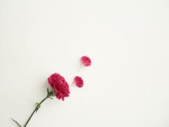 苦しい恋に溺れるあなたへ。本当の幸せを見つけられる、3つの純愛小説