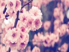 2016年春コスメこれさえあれば大丈夫！注目の5つを大胆予想♡