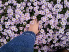 冬だからこそ“ブルーネイル”。0℃の世界に神秘的に溶けこむ可愛いネイル