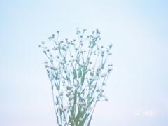 「どんな春にしよう…」みんなの＃春ネイルをちょこっと覗き見。