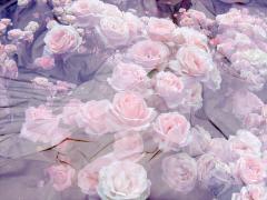 冬は花にベールを重ねて。シースルーネイル×フラワーの大人な指先