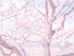 春に着たいのは「グリーン」でした。緑アイテムをお洒落に着こなす3つのポイント