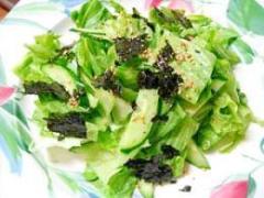 シンプルで王道！簡単で美味しく作れるグリーンサラダのレシピ♪