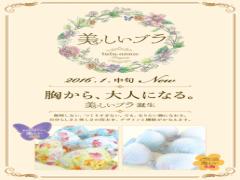 カワイイだけじゃ足りない。「美しいブラ」を身につけて、胸から大人になろう