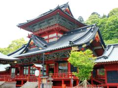 【静岡】今年の初詣はいつもと違う神社へ！