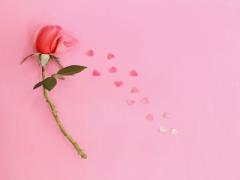 〝嬉しい〟がずーっと続く♡枯れないお花、プリザーブドフラワーを贈りましょう