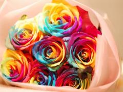 “奇跡”の色をその瞳に。おとぎ話の国で見つけたレインボーローズをDIY