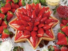 「キル フェ ボン」山盛りイチゴのタルト12種集結　1年で7日間だけのストロベリーWeek開催