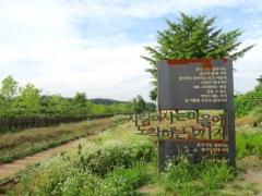 韓国旅行、廃線になった線路を歩いて感じる”人生の軌跡”