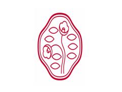 あのブランドも？日本の女性を美しくし続ける、資生堂コスメ4選