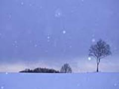 純白の世界にきらめく輝き。冬だからこそ美しい北海道「氷濤まつり」