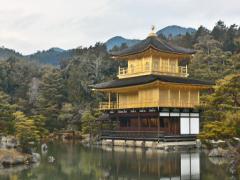 はんなりと優雅に。夜の京都を満喫できる艶やかな観光スポット