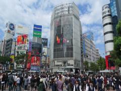 〈保存版〉何でもない日も特別な日も。渋谷の女子会ランチおすすめ10選
