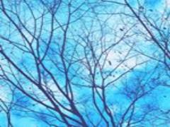 私の唇、男性に見られていた！リップ柄アイテムで意識して♡