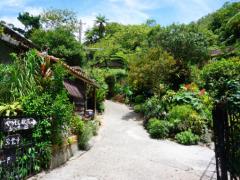 ハズせない観光地ばかり！沖縄本島をエリア別にマスター♪