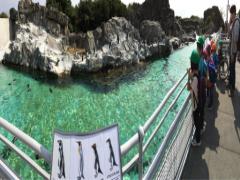 のどかな景色が広がる葛西！東京観光におすすめなホテル