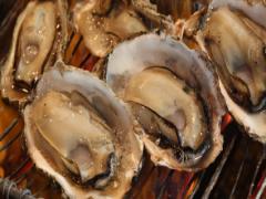 牡蠣が食べたくなったら。[渋谷周辺]オイスターバー4選