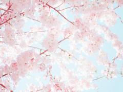For：新大学生♡これらがあれば1週間余裕♩な使える通学シューズ4選