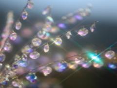 指先キラキラ♡クリスタルネイルで華やかに