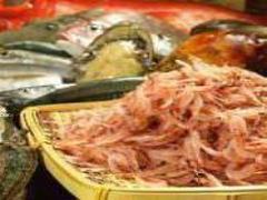 季節限定の贅沢食材！旬が薫る桜えびをお家でおいしく楽しむレシピ