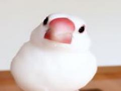 何が何でも手に入れたい！絶対に間違いのない〝入荷待ち〟コスメ6選♡