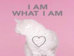 春先にぴったり♡女の子らしさ100％のレースネイルでレディな指先に