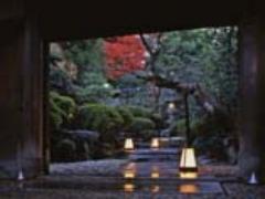 老舗京料理から気軽な洋食まで！銀閣寺周辺のランチスポット
