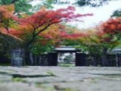 車内や授業中は閲覧禁止！笑いと元気をお届けする「おかんメール」徹底調査