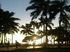 「すべてが許される愛らしさ」Paul&amp;Joeの恋顔チークから始まる新しい恋。