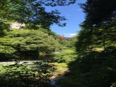 加賀で日本の良さを見直す！情緒あふれる観光スポット