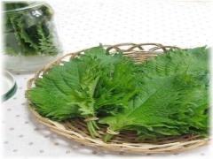 食欲がないときのゴハンに入れたい！香味野菜レシピ
